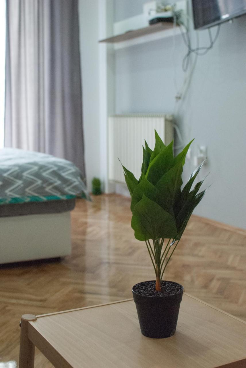 Mm Lux Apartment, Újvidék Kültér fotó